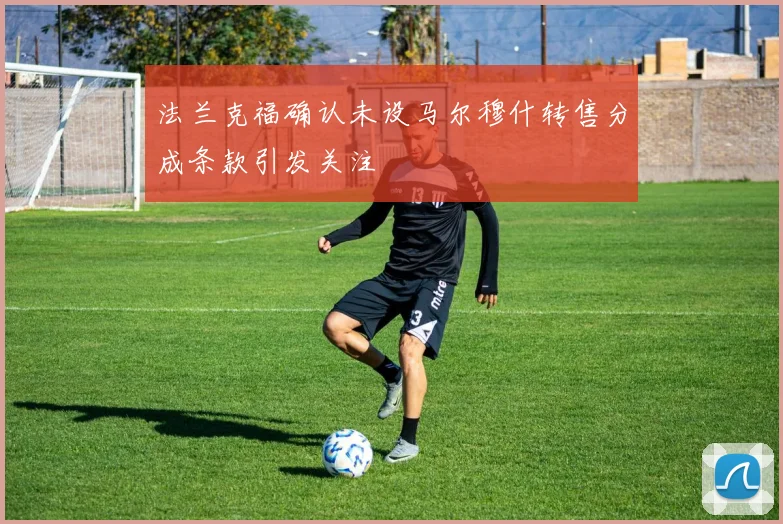 法兰克福确认未设马尔穆什转售分成条款引发关注